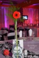 /album/a15-anos-ornela/a11703084-473747706127620-1508752177998111281-n-jpg/